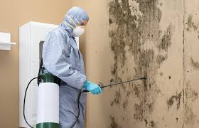 Why You Should Choose Our Mold Remediation Services in Minier, IL